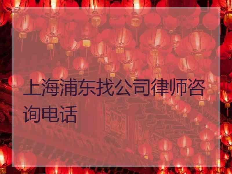 上海浦东找公司律师咨询电话