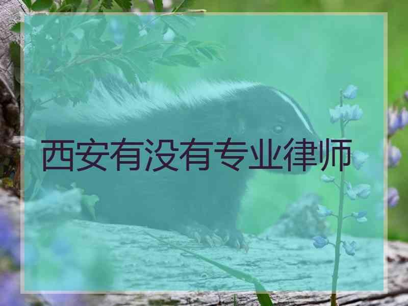 西安有没有专业律师