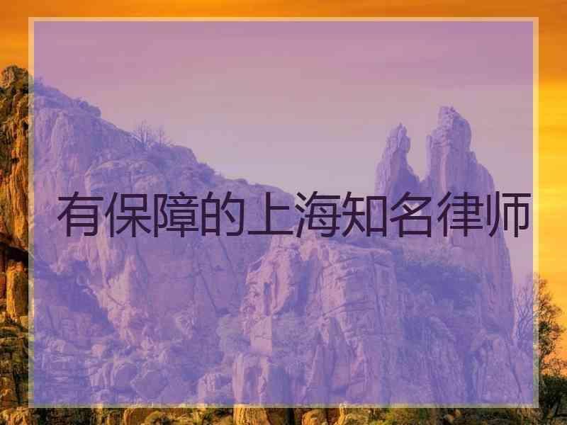 有保障的上海知名律师