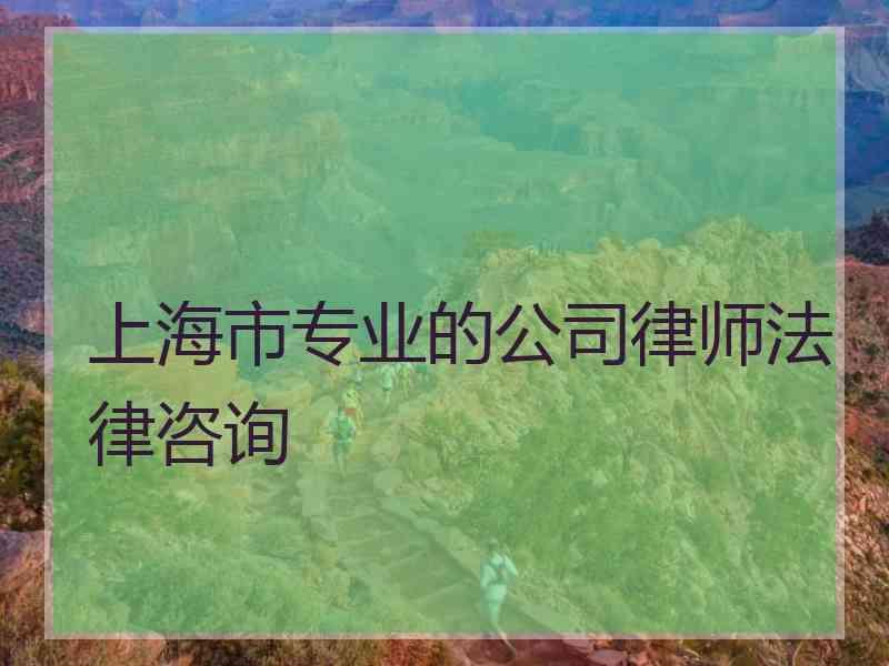 上海市专业的公司律师法律咨询