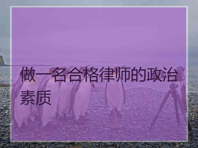 做一名合格律师的政治素质