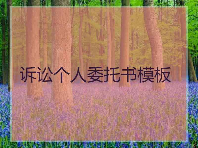 诉讼个人委托书模板