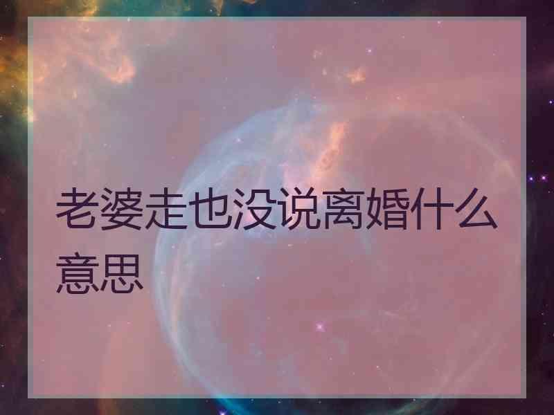 老婆走也没说离婚什么意思