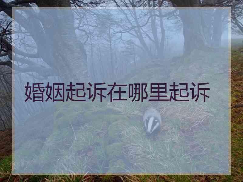 婚姻起诉在哪里起诉