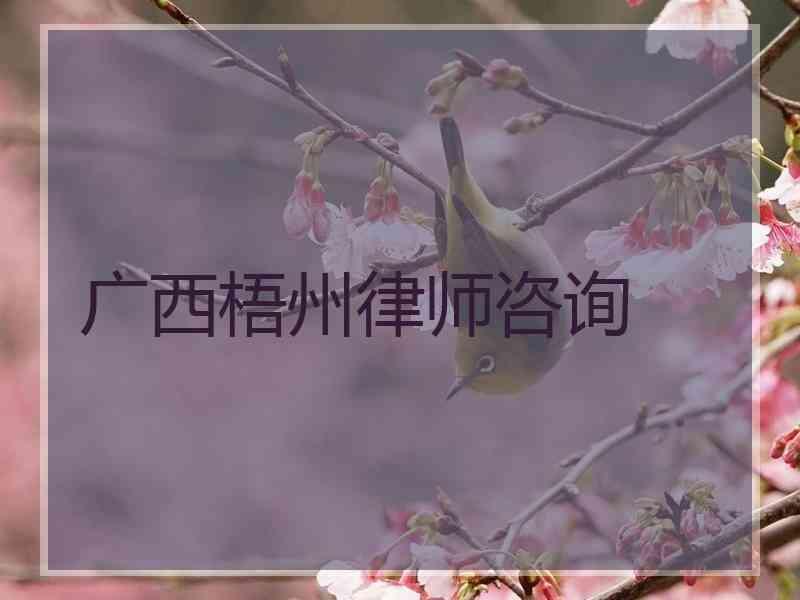 广西梧州律师咨询