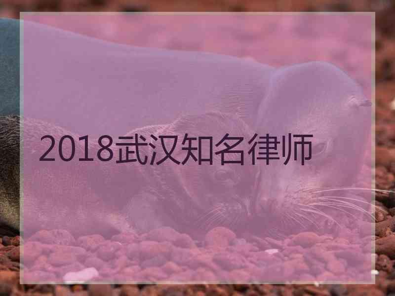 2018武汉知名律师