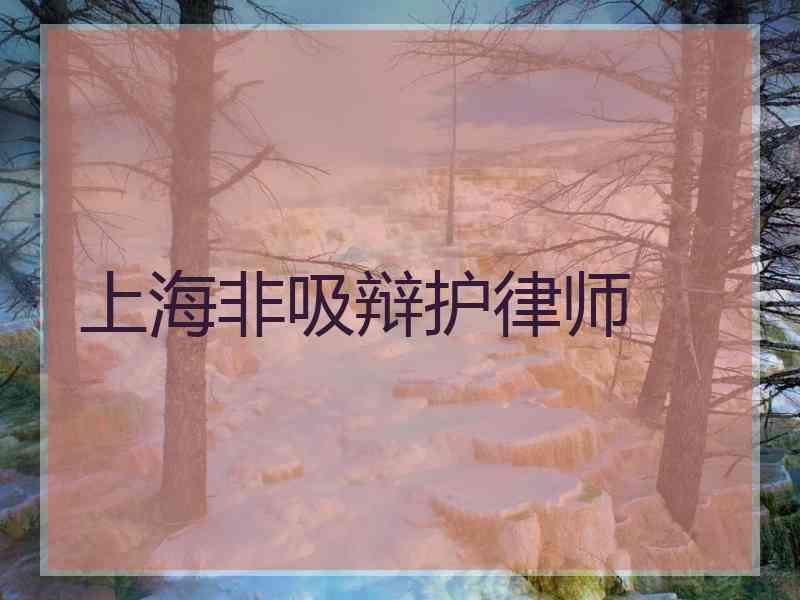 上海非吸辩护律师