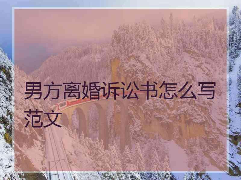 男方离婚诉讼书怎么写范文