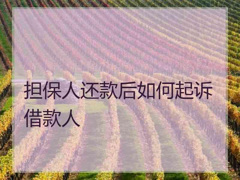 担保人还款后如何起诉借款人