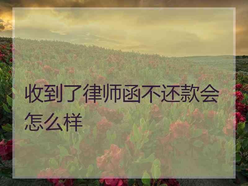 收到了律师函不还款会怎么样