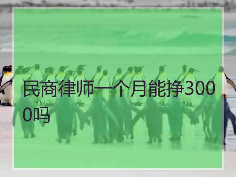 民商律师一个月能挣3000吗