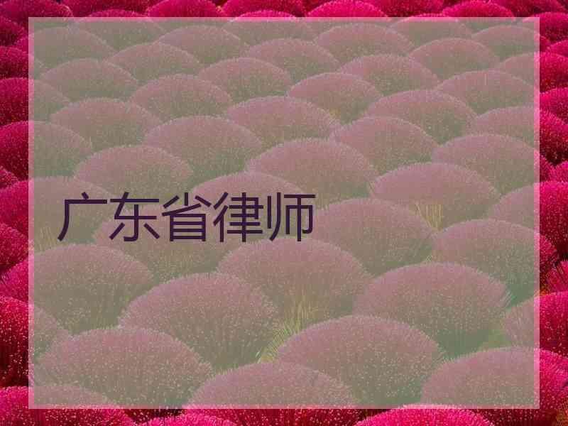 广东省律师