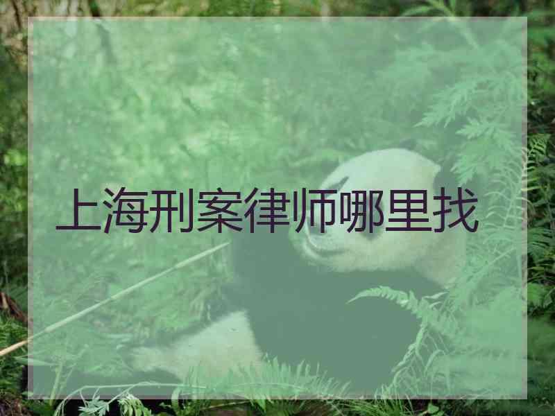 上海刑案律师哪里找