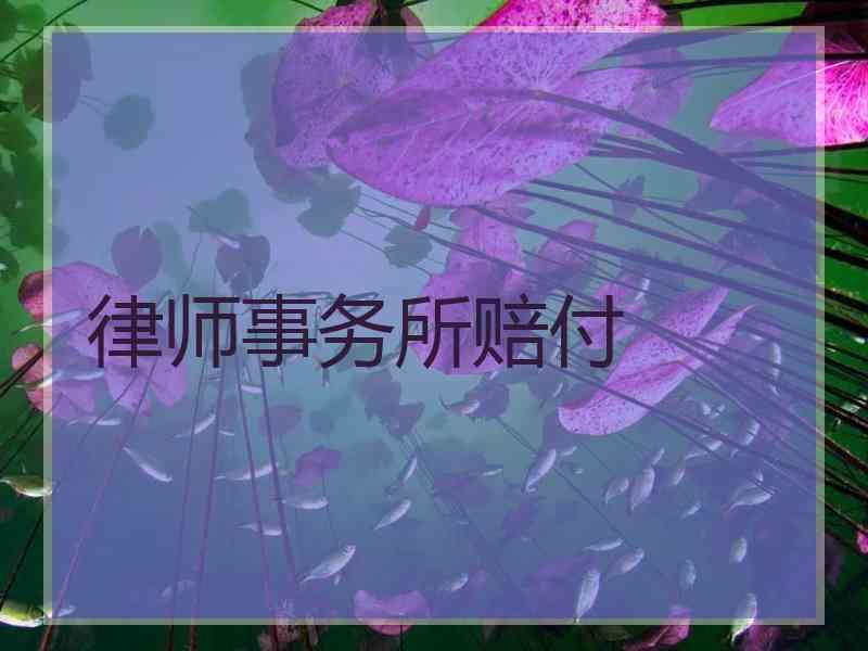 律师事务所赔付