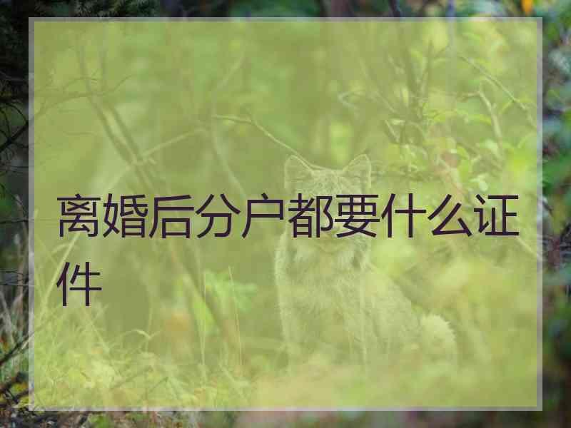 离婚后分户都要什么证件