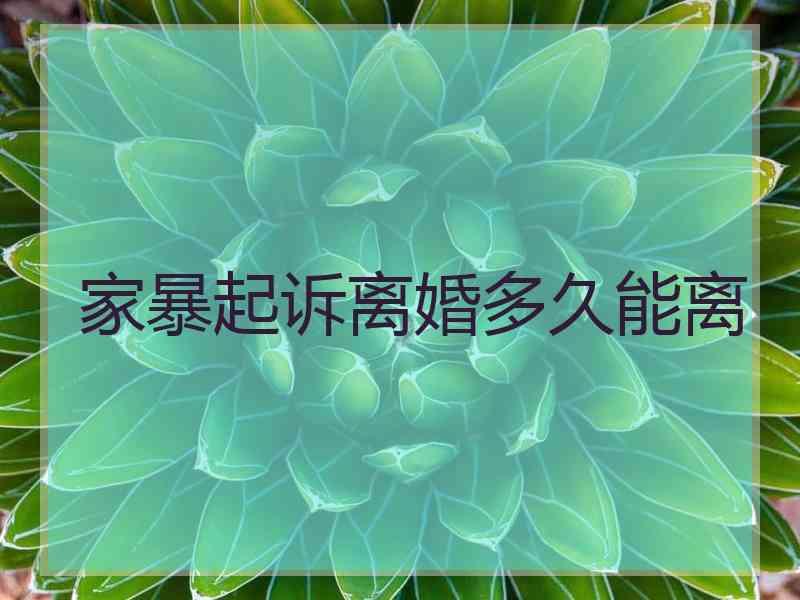 家暴起诉离婚多久能离