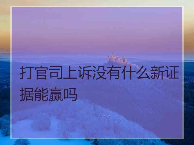 打官司上诉没有什么新证据能赢吗