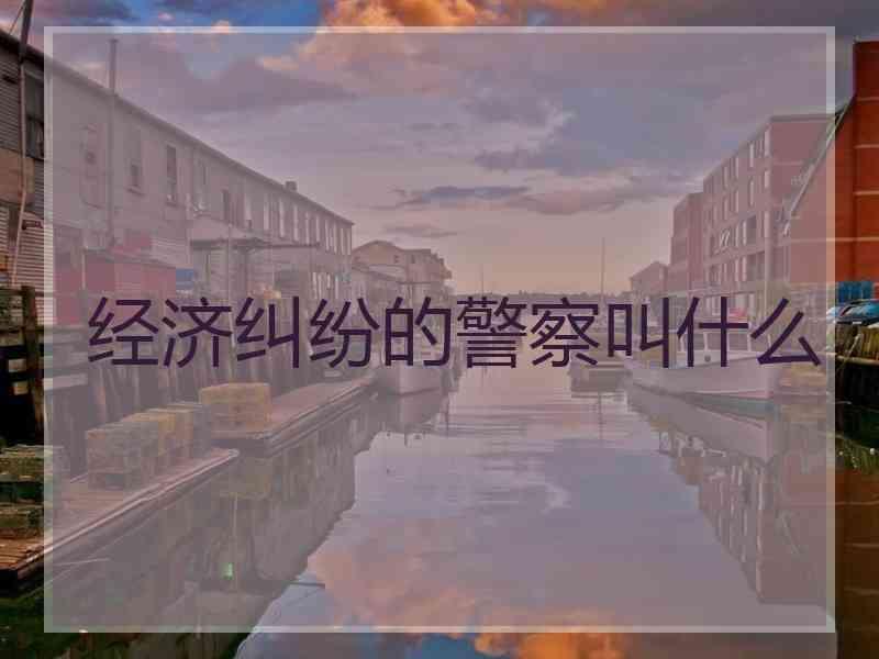 经济纠纷的警察叫什么