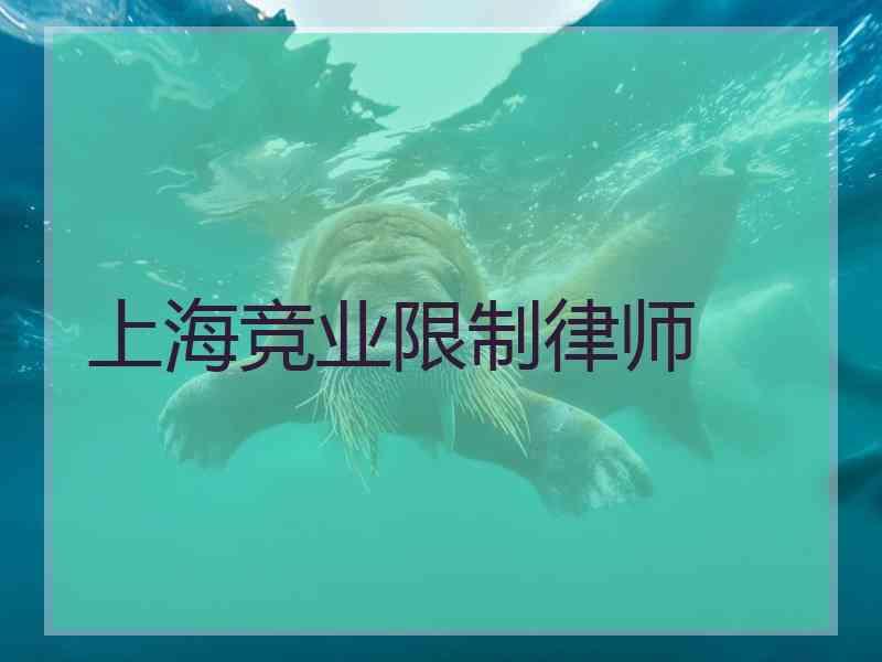 上海竞业限制律师