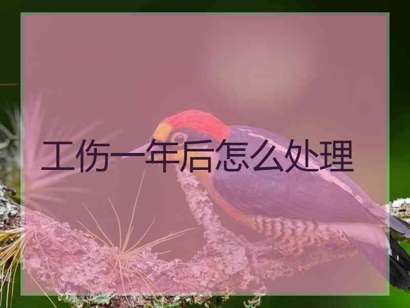 工伤一年后怎么处理