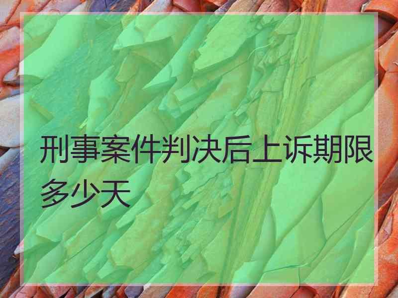 刑事案件判决后上诉期限多少天