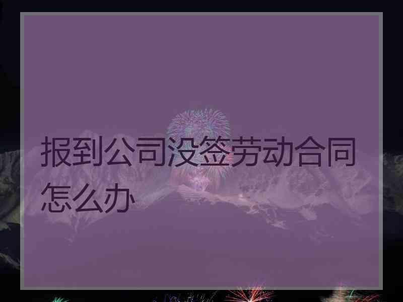 报到公司没签劳动合同怎么办