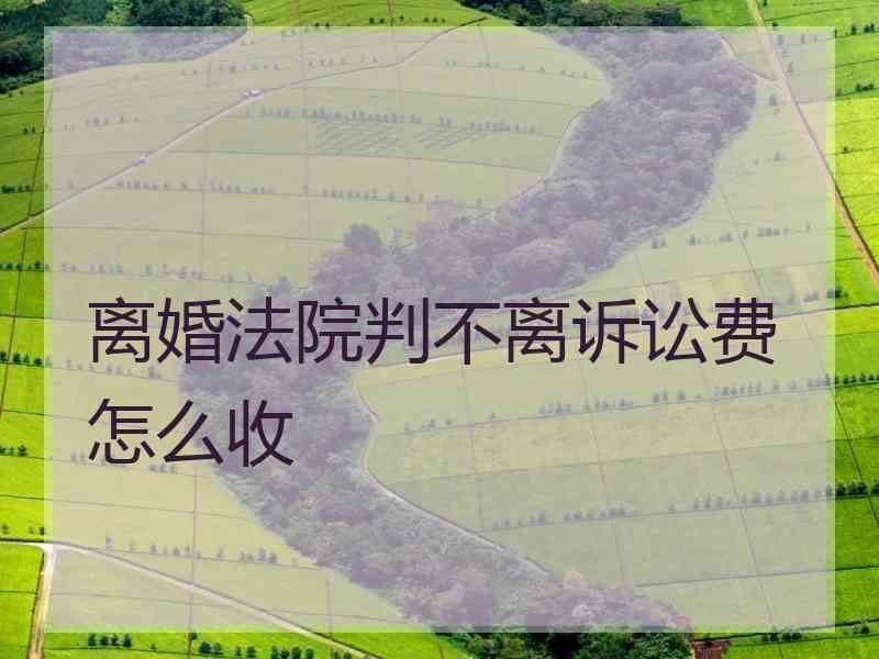 离婚法院判不离诉讼费怎么收