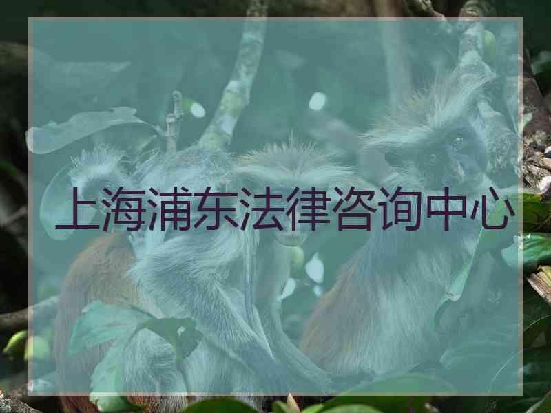 上海浦东法律咨询中心