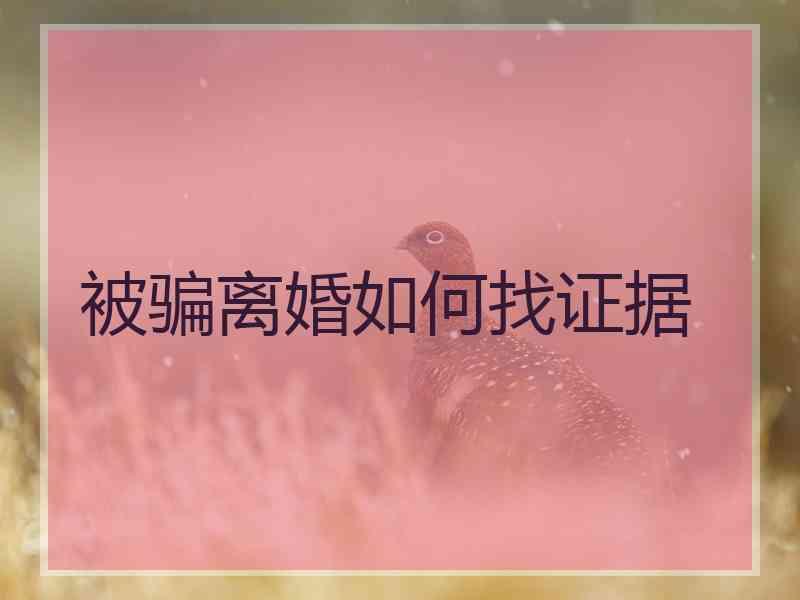 被骗离婚如何找证据