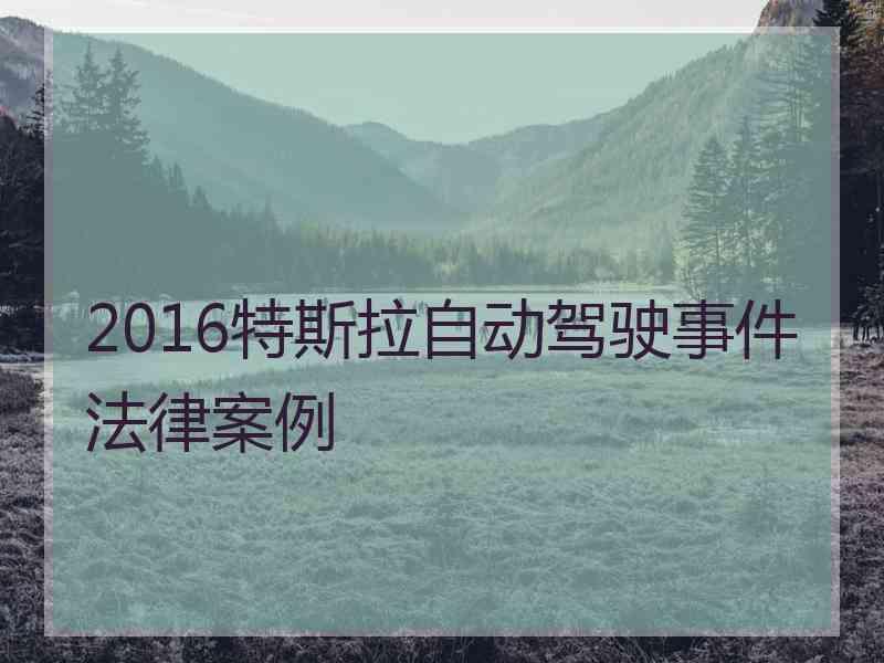 2016特斯拉自动驾驶事件法律案例