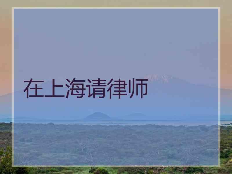 在上海请律师