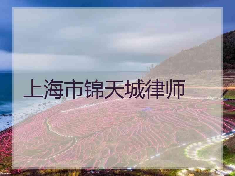 上海市锦天城律师