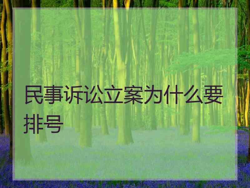 民事诉讼立案为什么要排号