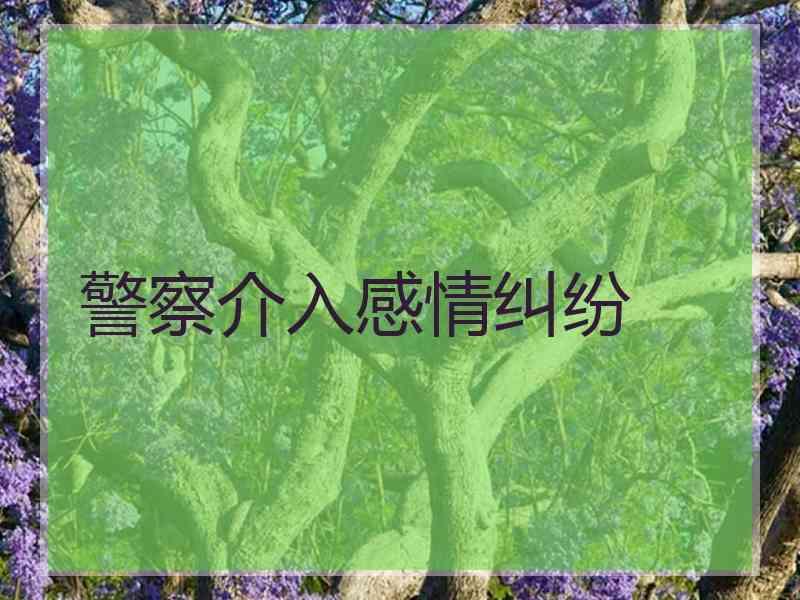 警察介入感情纠纷