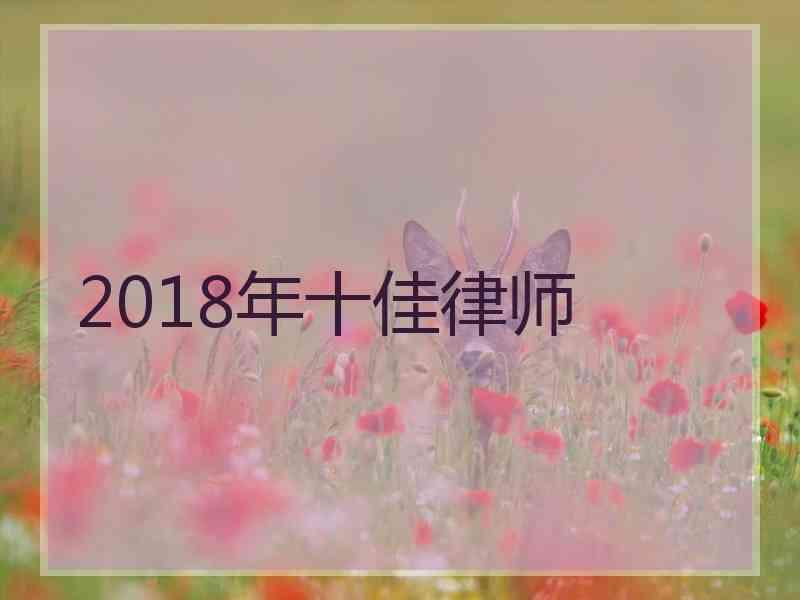 2018年十佳律师