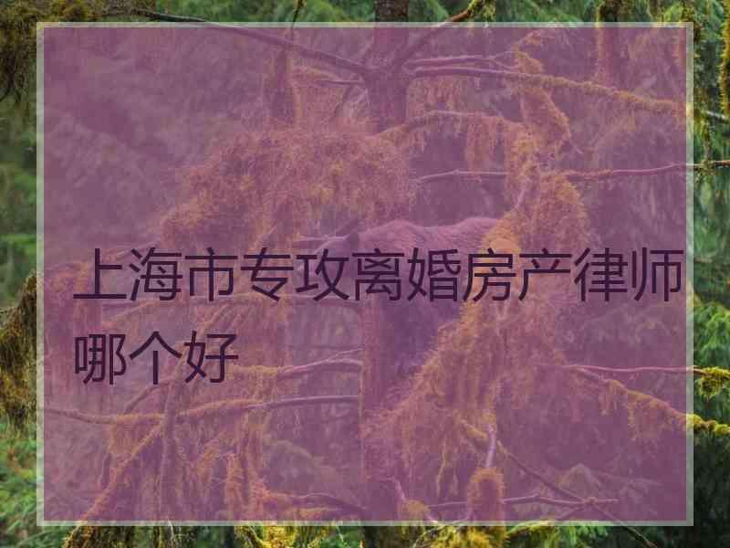 上海市专攻离婚房产律师哪个好