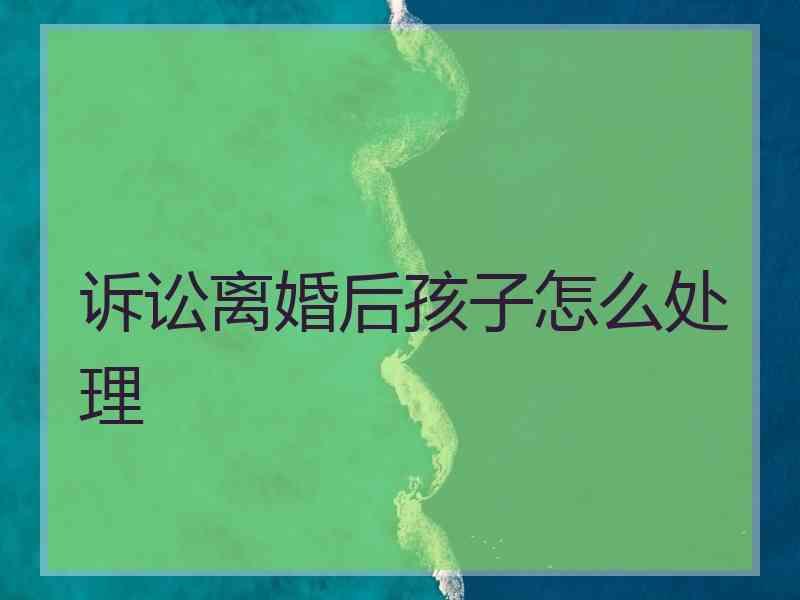 诉讼离婚后孩子怎么处理