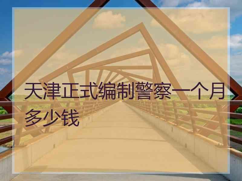 天津正式编制警察一个月多少钱