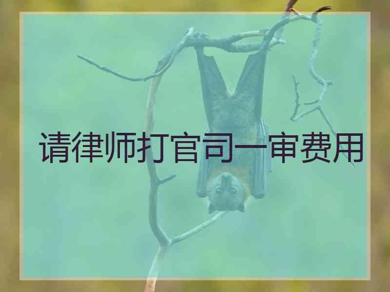 请律师打官司一审费用