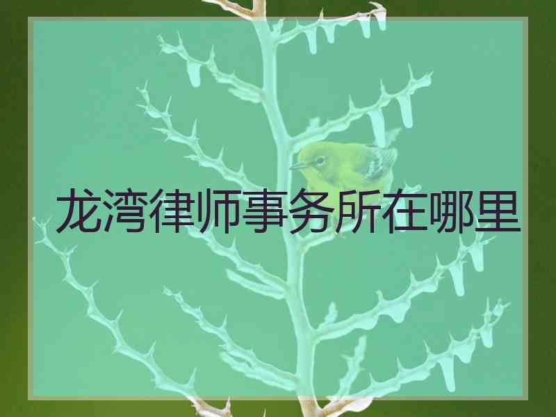 龙湾律师事务所在哪里