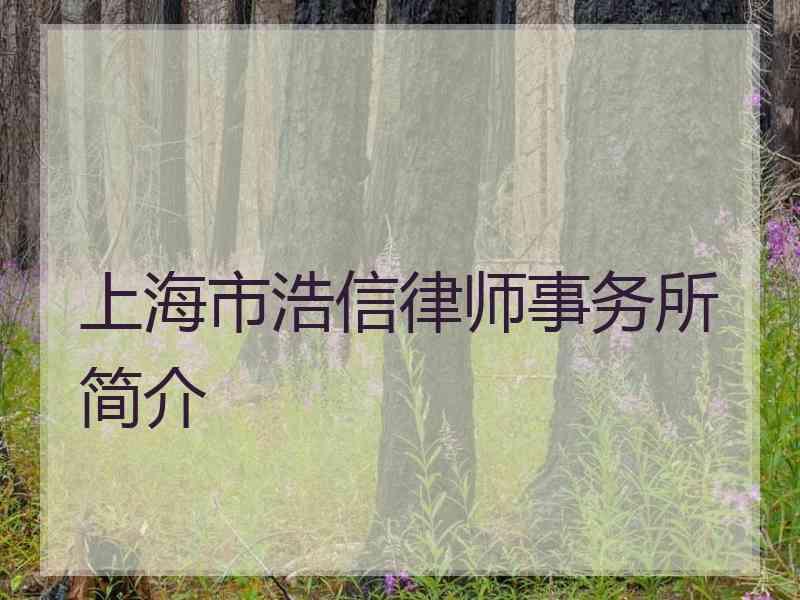 上海市浩信律师事务所简介