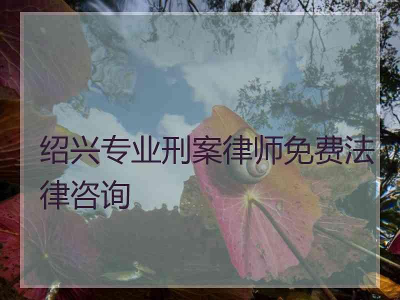 绍兴专业刑案律师免费法律咨询