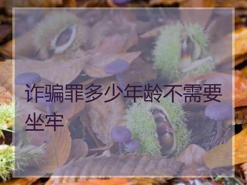 诈骗罪多少年龄不需要坐牢