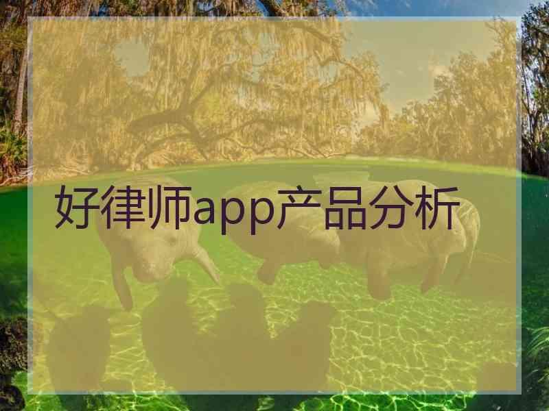 好律师app产品分析