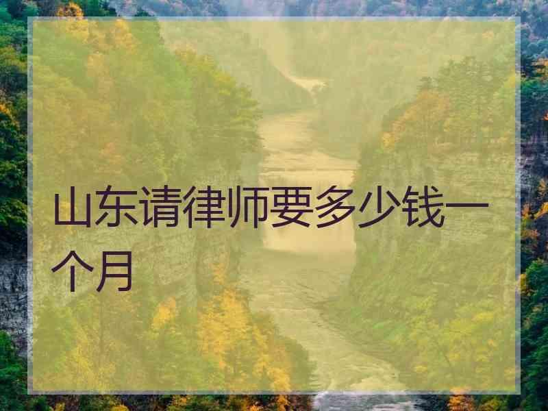 山东请律师要多少钱一个月