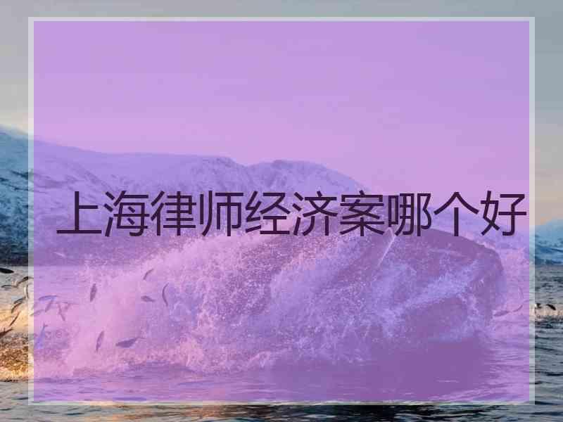 上海律师经济案哪个好