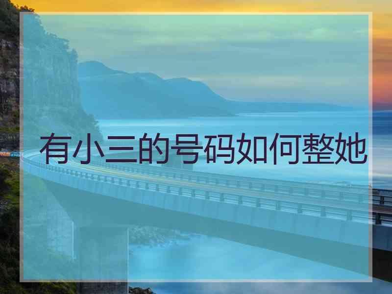 有小三的号码如何整她