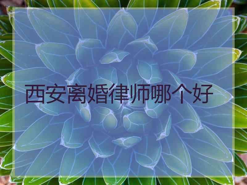 西安离婚律师哪个好