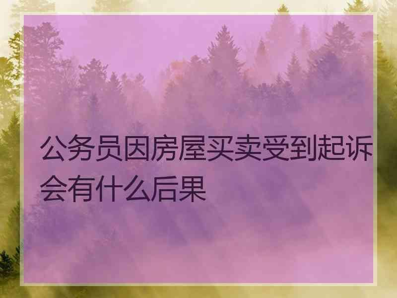 公务员因房屋买卖受到起诉会有什么后果