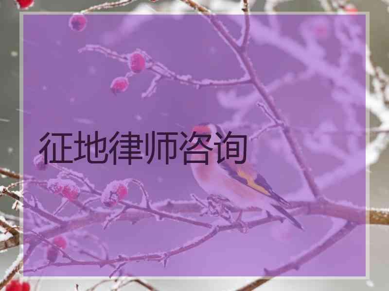 征地律师咨询